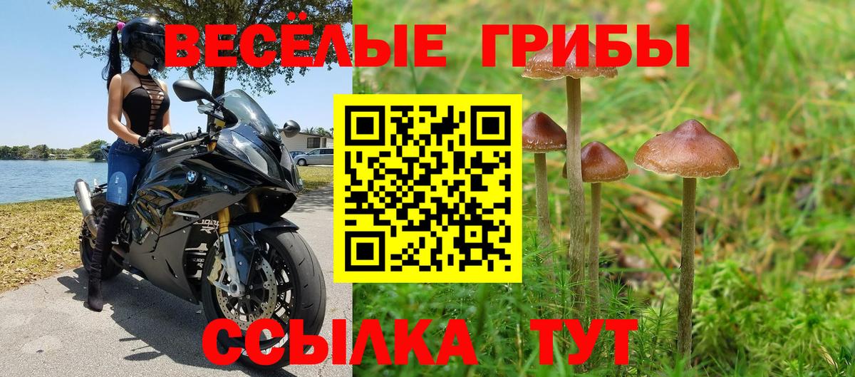 хочу   Вход с VPN  Псилоцибиновые грибы GOLDEN TEACHER  Борисоглебск  Галлюциногенные грибы Psilocybine cubensis 