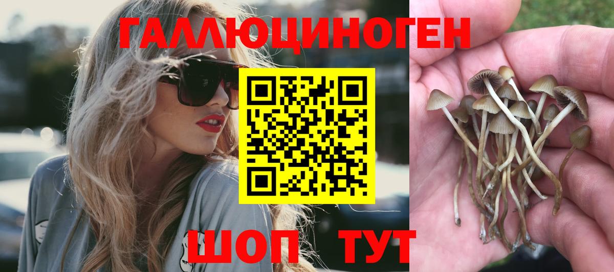 Галлюциногенные грибы прущие грибы Борисоглебск